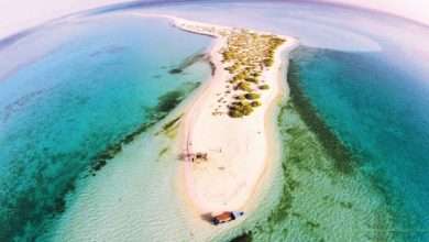 جزيرة جبل حسان في تبوك السياحة في تبوك 2022 السعودية 4