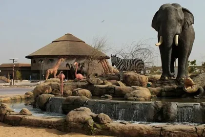 كم تبعد مسافة سفاري بارك عن الرياض