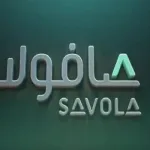 كم سعر سهم صافولا