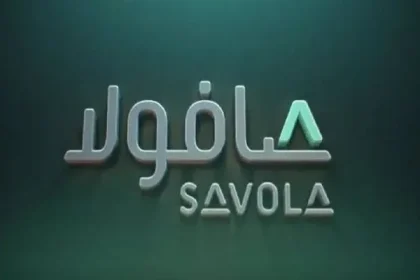 كم سعر سهم صافولا