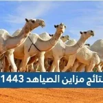 نتائج مزاين الصياهد 1443 الصفر