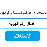 إستعلام عن أرقامى معرفة الأرقام المسجلة