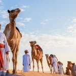 المنديل وش يرجعون