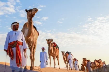 المنديل وش يرجعون