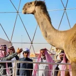 جائزة المركز الأول في مزاين الإبل 1443