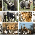 اليوم العالمي للأحياء البرية 2022؛ أهم المعلومات عنه ـ فهرس