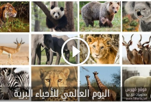 اليوم العالمي للأحياء البرية 2022؛ أهم المعلومات عنه ـ فهرس