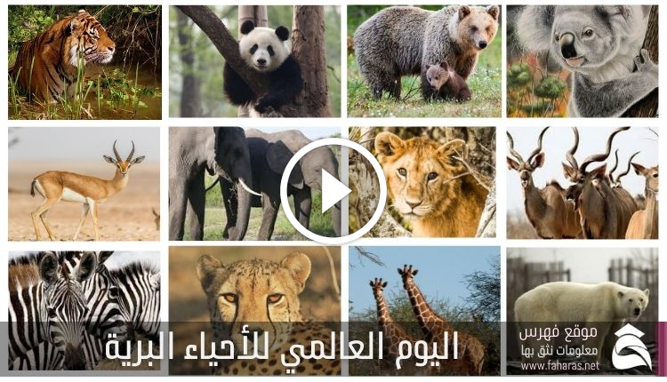 اليوم العالمي للأحياء البرية 2022؛ أهم المعلومات عنه ـ فهرس