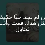 وإن لم تجد حبًا حقيقيًا مثل هذا.. فمت وأنت تحاول