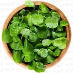 فوائد الجرجير للمتزوجين ومكوناته الغذائية