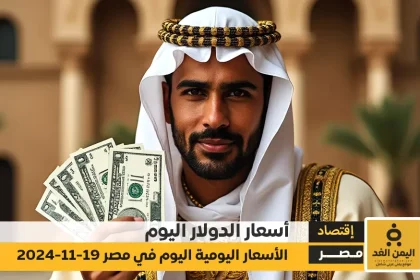 سعر الدولار اليوم الثلاثاء 19 نوفمبر 2024 في مصر استقرار ملحوظ أمام الجنيه المصري