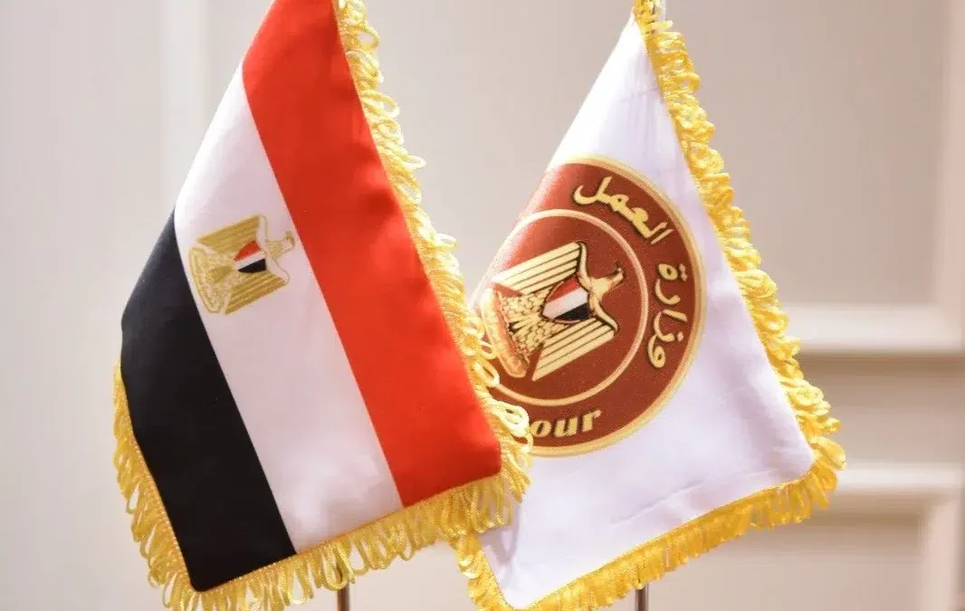 الحكومة تطرح فرص عمل جديدة للشباب