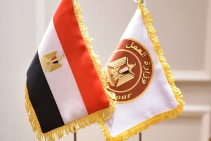 الحكومة تطرح فرص عمل جديدة للشباب