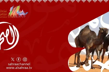 تردد قناة الصحراء 2025 الجديد في بث مباشر والبحث عنها بعد ظهور صيتة السبيعي