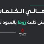 معنى كلمة زوط باللهجة السودانية