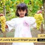 وتصدر العنب الرازقي