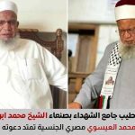 الشيخ محمد إبراهيم العيسوي