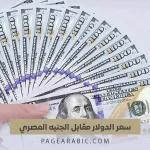 سعر الدولار اليوم في مصر 20 اكتوبر 2025