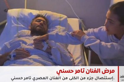 الفنان تامر حسني