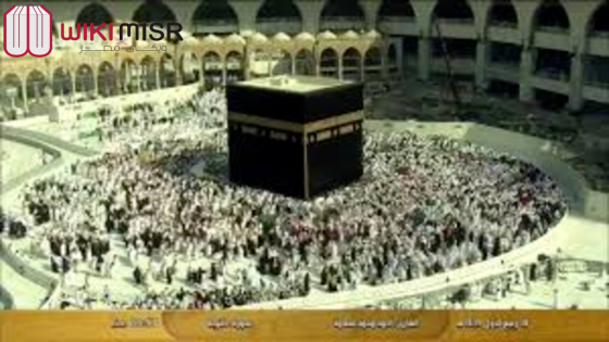  تردد قناة القرآن الكريم | ويكي مصر 