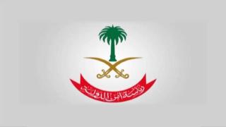 عملاء السفارات في قبضة أمن الدولة السعودية محمد الربيعة وكذلك ولجين هذلول الهذلول