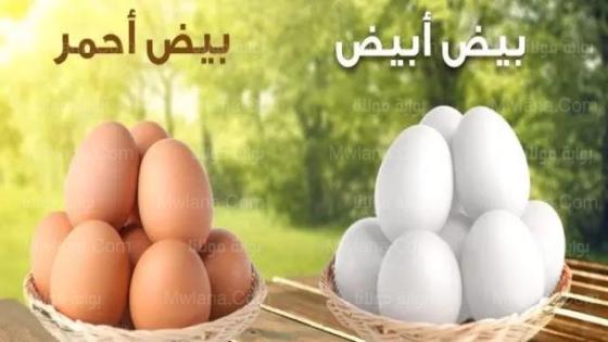 سعر كرتونة البيض اليوم الأربعاء 12 يناير 2022 في بورصة البيض الرئيسية ومنافذ البيع